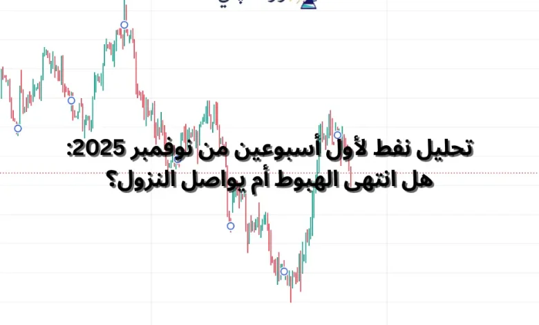 تحليل نفط WTI لأول أسبوعين من نوفمبر 2025: هل انتهى الهبوط أم يواصل النزول؟