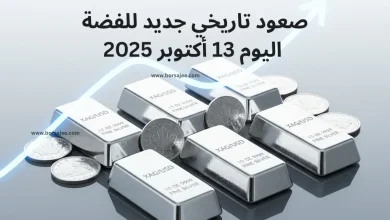 سعر الفضة اليوم 13 اكتوبر 2025